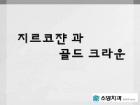 지르코쟌과 골…