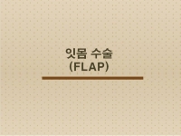 잇몸수술(flap)