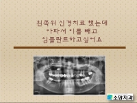 왼쪽위 신경치…